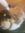 Sally