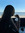 ume