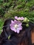 daniyah❀˖°
