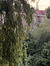 Medina
