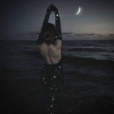 TheMoonlitSpine