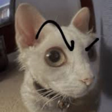 Loki
