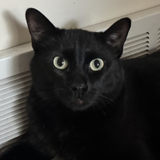 Zoe