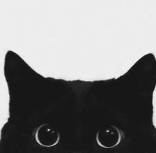 00nuna