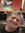 Shaun M Wilkinson