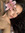 ୨୧ sandra ୨୧