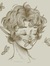 rue ⋆˚꩜。