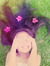majo