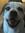 Dori