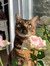 Catheri...