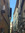 dino.liso