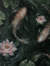 Eve