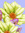 Raneem