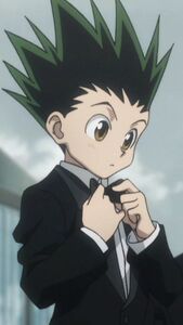 Gon Freecs