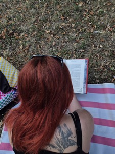 the_crescent_reader