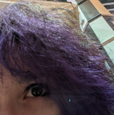Yoli
