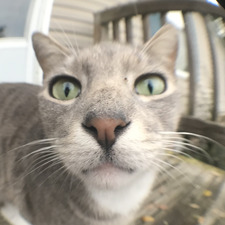 Amber