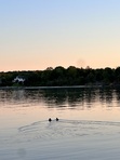MaryBeth
