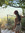 Elida Nexha