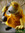 member photo member photo