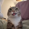 Meeshu