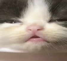 Jan