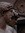 Dane