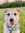 member photo member photo
