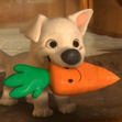Cindyyyy