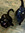 BlackCatBlondeBookNerd