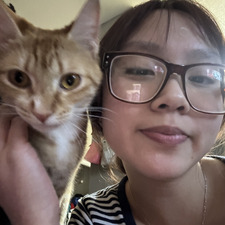 tvcat