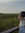 Anna Near