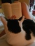 Xènia