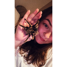 spinesandspiders