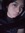 Aly