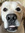 Jennifer Laviolette