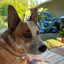 Katie