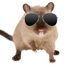 Gerbal Man
