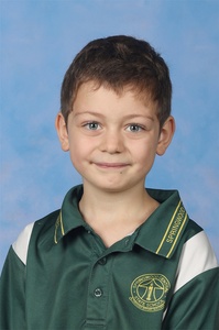 Maraea