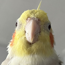 Emily