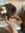 jae ⟡