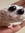 saruxi