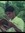 Hafeel Mohammad