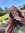 Izzie