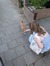Myrthe ...
