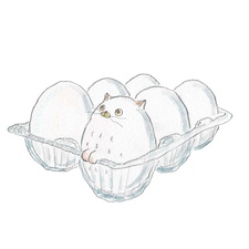 EggCat