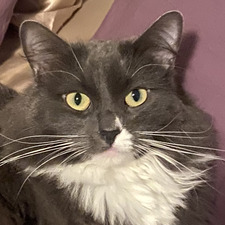 Maggie
