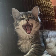 Luc