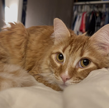 mia
