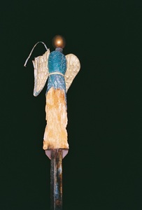 lab